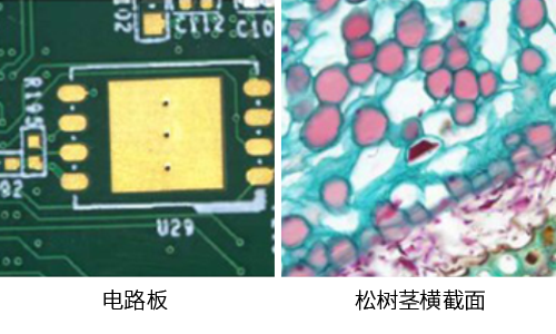 Mlchrome 6 USB 3.0 相机