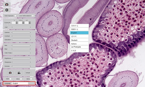 TrueChrome Metrics显微测量型相机