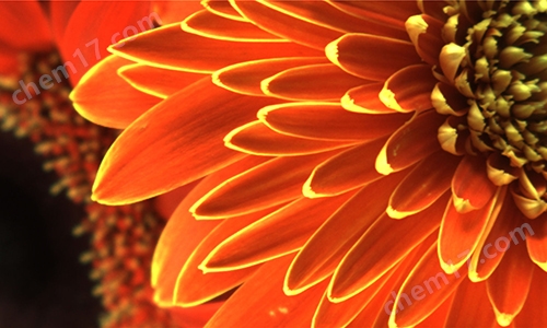 TrueChrome Metrics显微测量型相机