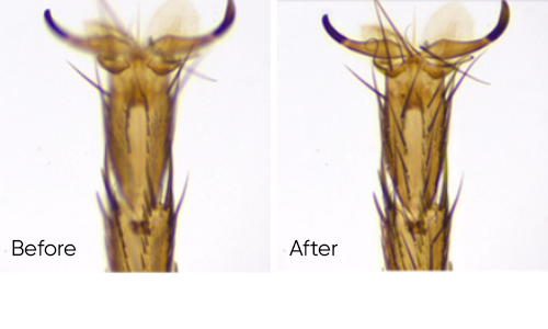 Mlchrome 6 USB 3.0 相机