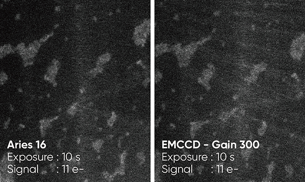 Aries 16高灵敏度 sCMOS 科学相机